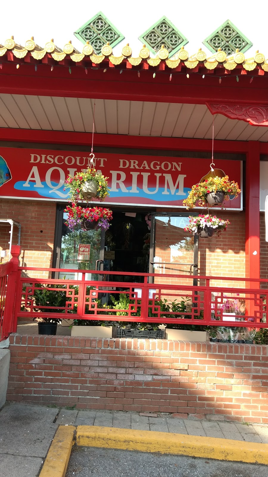 Discount Dragon Aquarium | 888 Dundas St E, Mississauga, ON L4Y 4G6, Canada | Phone: (905) 306-7127