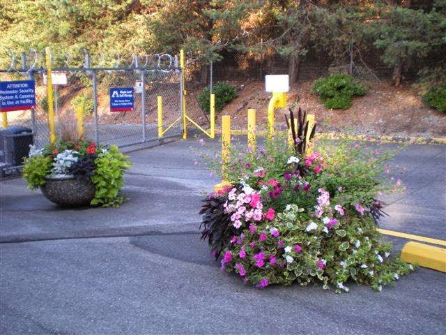 Maple Leaf Self Storage Burnaby | 7705 Griffiths Dr, Burnaby, BC V3N 4P1, Canada | Phone: (604) 522-1562
