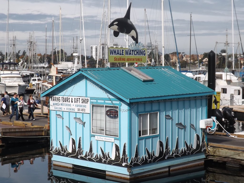 Club SeaKing Adventures / Fishing & Wildlife Tours | 10441 Resthaven Dr, Sidney, BC V8L 3H6, Canada | Phone: (250) 920-6531