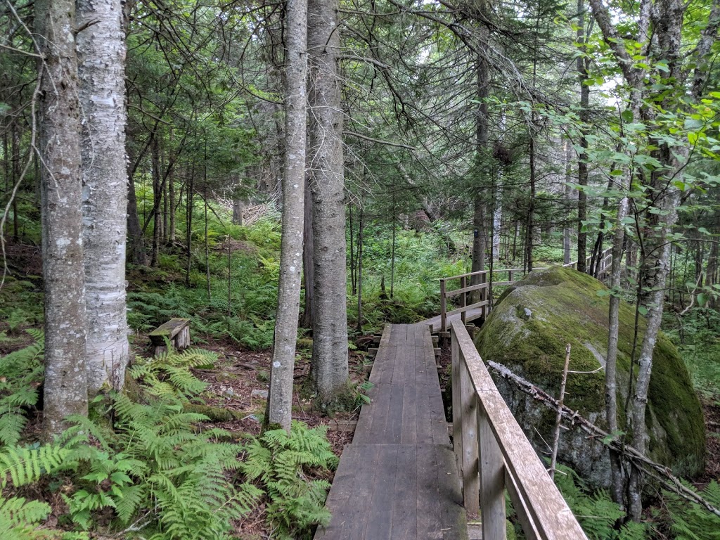 Sentier des Marais | 483 Rue Principale, Piopolis, QC G0Y 1H0, Canada | Phone: (819) 583-3953
