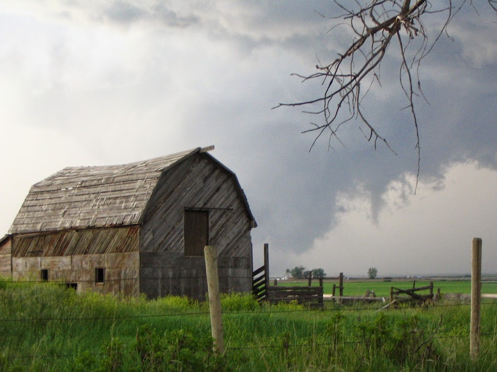 M.D. of Taber | 4900B 50 St, Taber, AB T1G 1T2, Canada | Phone: (403) 223-3541