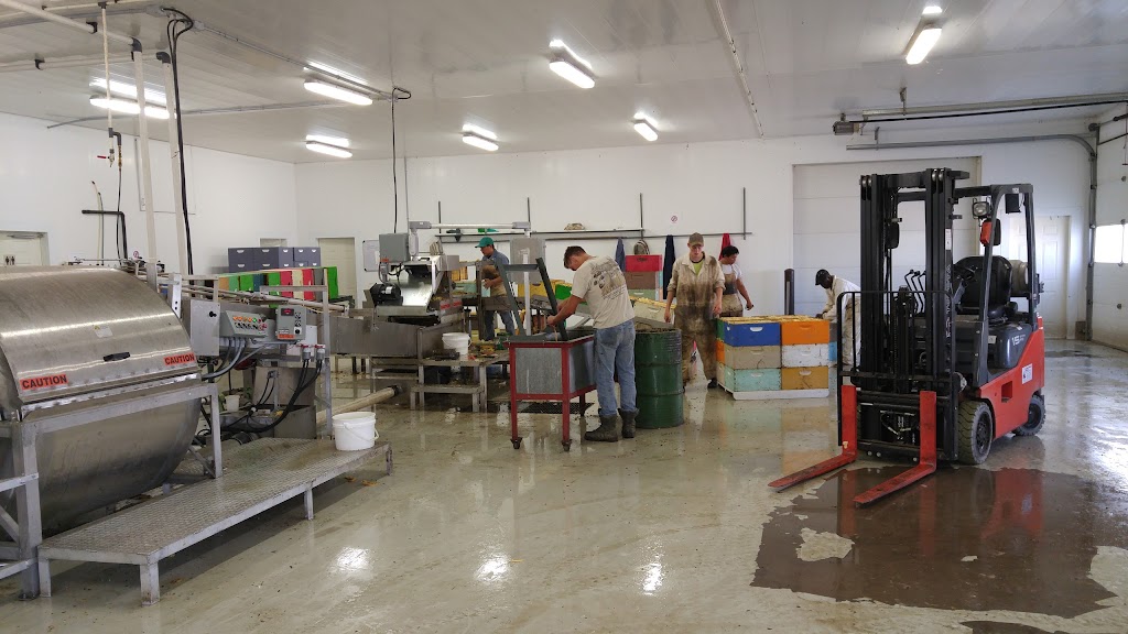 Poelman Apiaries Ltd. | 102007A, Range Rd 254, Macleod, AB T0L 0Z0, Canada | Phone: (403) 687-2440