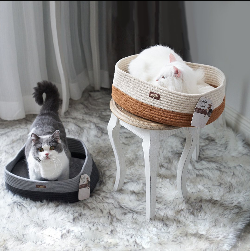 PET W | 4A Walker Dr, Charlottetown, PE C1A 8S6, Canada | Phone: (902) 629-9542