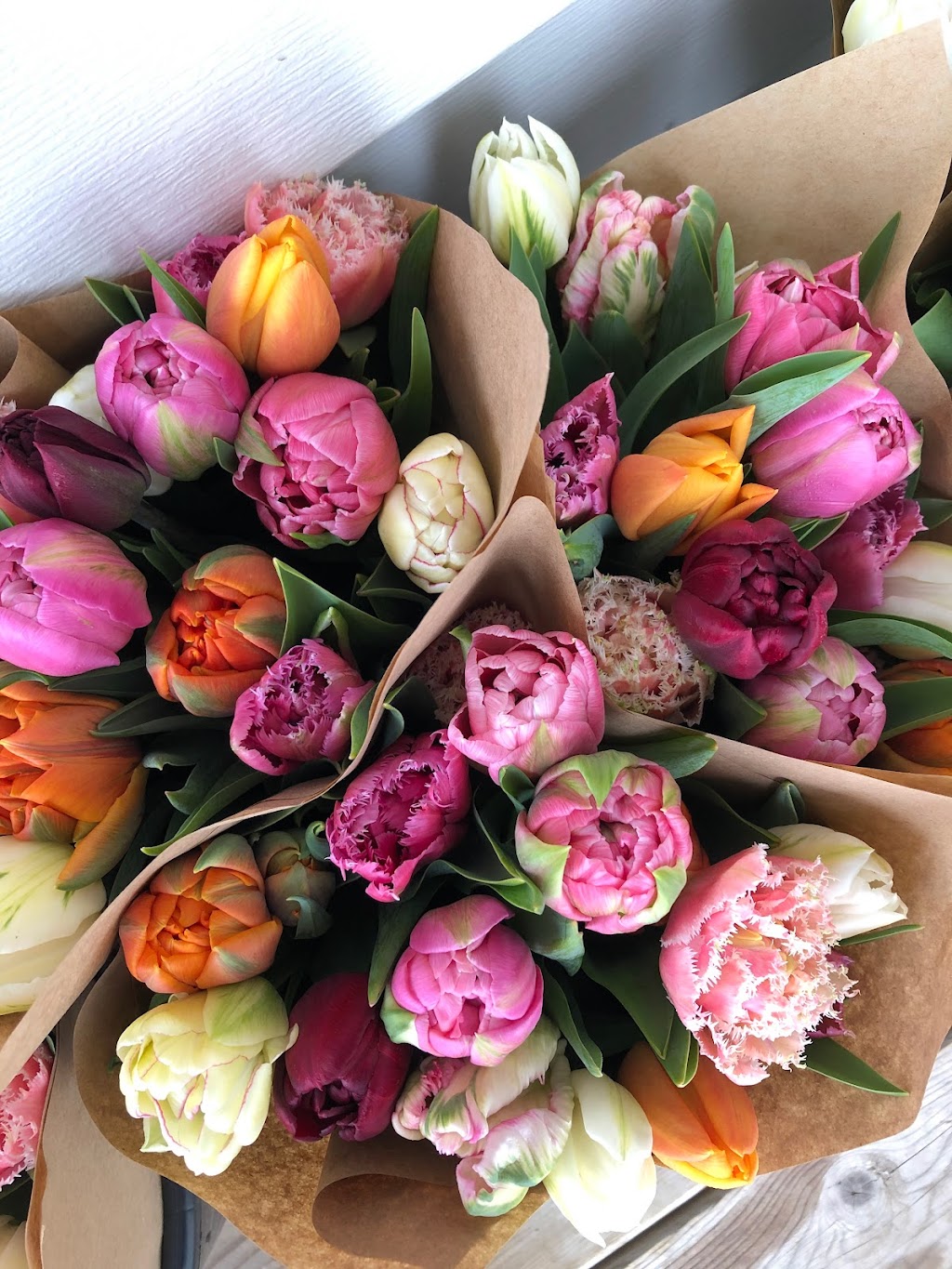 Two Blooms Flower Farm | 31 Gary Rd, Steeves Mountain, NB E1G 0S9, Canada | Phone: (506) 380-1170