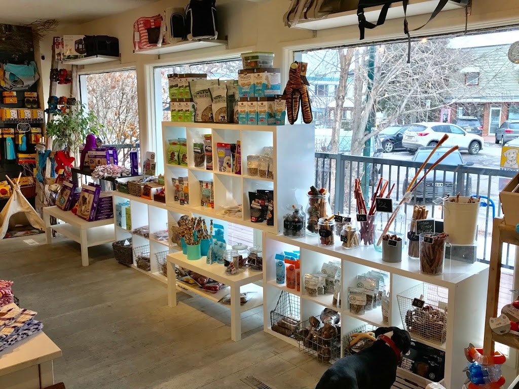 Doodle Dogs Inc | 3b Parkdale Crescent NW, Calgary, AB T2N 3T8, Canada | Phone: (587) 349-3647