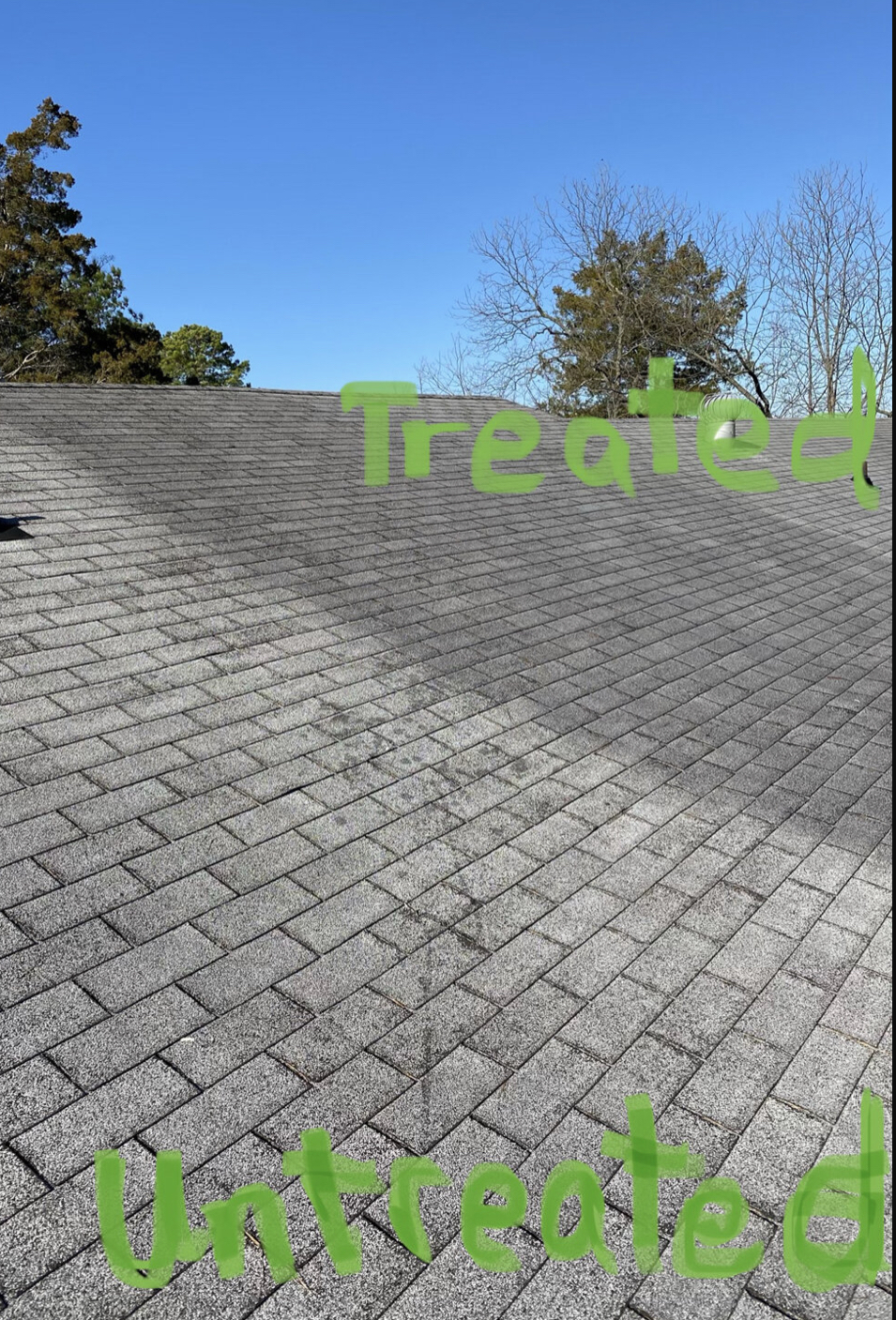 Bright Green Roof London | 611 Wonderland Rd N Unit 204, London, ON N6H 5N7, Canada | Phone: (226) 224-8387