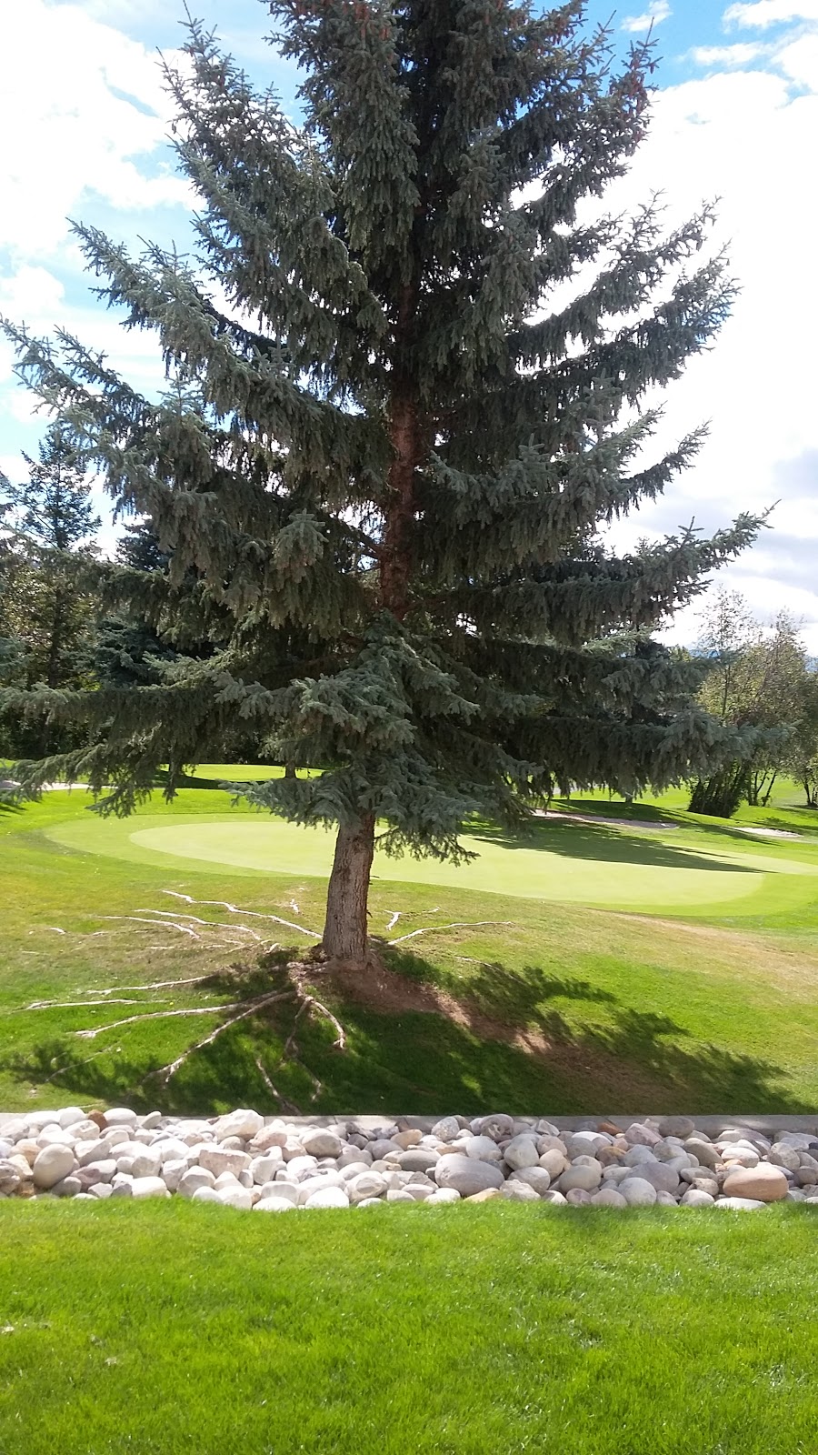 Creekside Cabin | 5189 Hot Springs Rd, Fairmont Hot Springs, BC V0B 1L1, Canada | Phone: (250) 345-6116