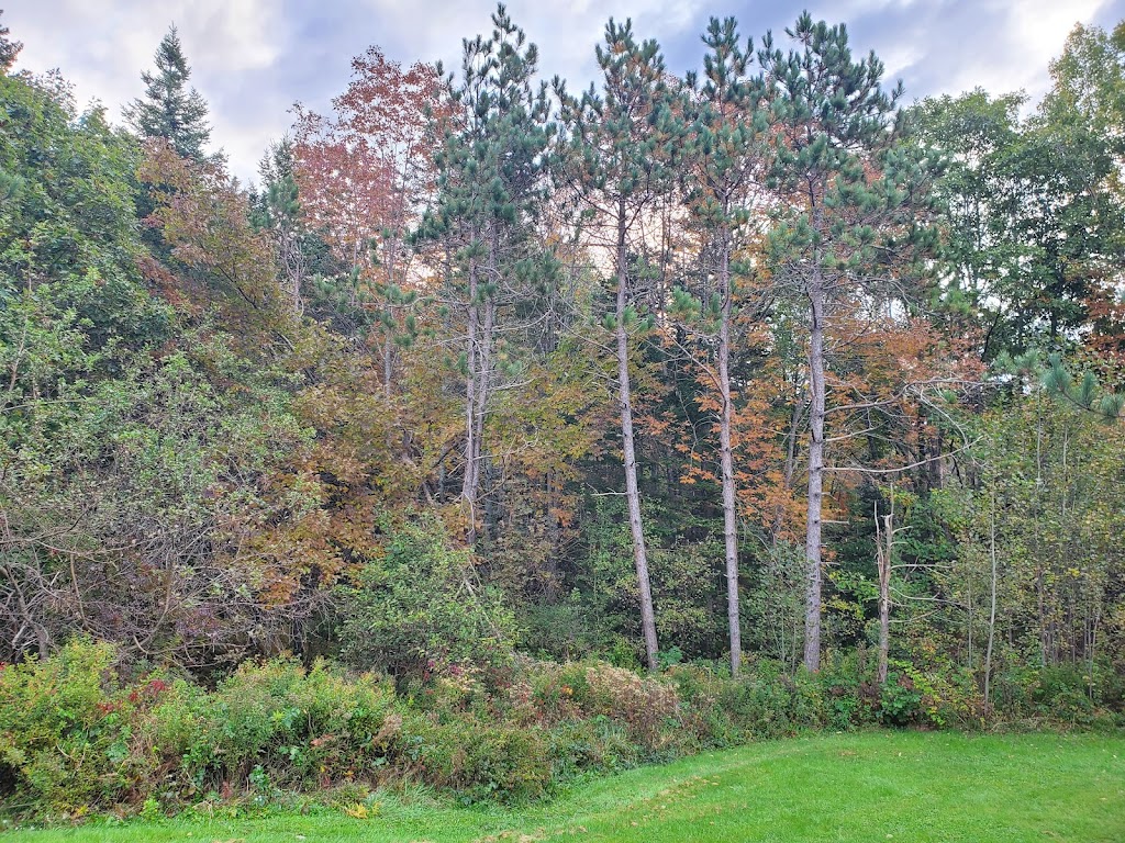 Conserve A Tree Forestry | 54 Lower Grant Rd, Chester Basin, NS B0J 1K0, Canada | Phone: (902) 275-8450