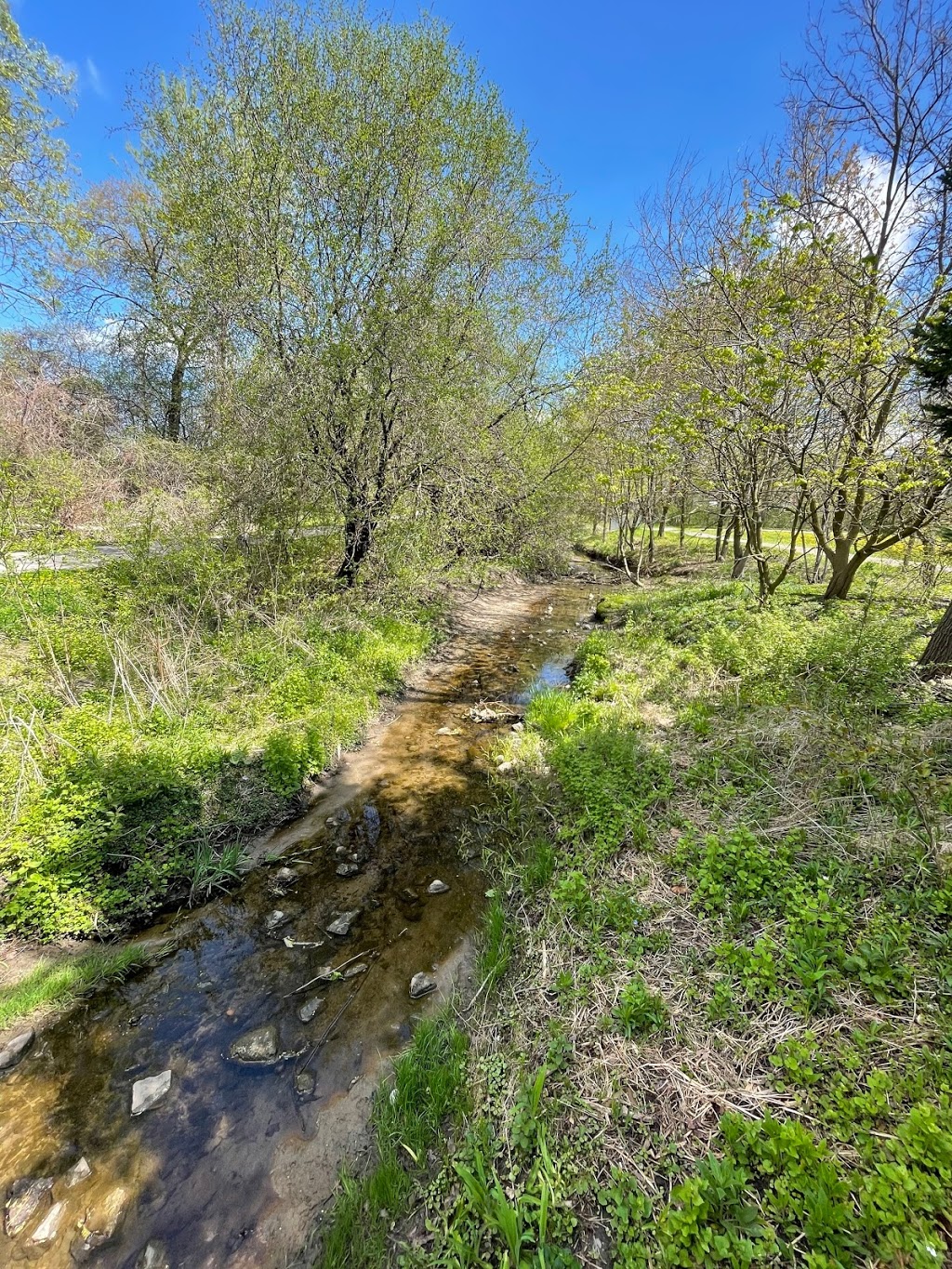 Country Hills Park | 365 Country Hill Dr, Kitchener, ON N2E 2C1, Canada | Phone: (519) 743-6331