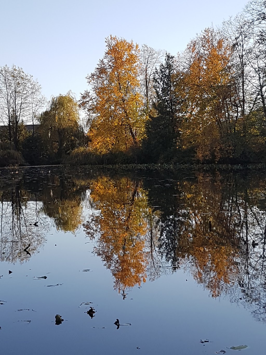 Southern Park | Abbotsford, BC V2T 5H7, Canada