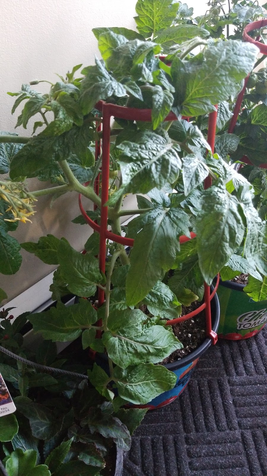 Darvonda Nurseries Ltd | 4707 49 St, Mundare, AB T0B 3H0, Canada | Phone: (587) 921-7555