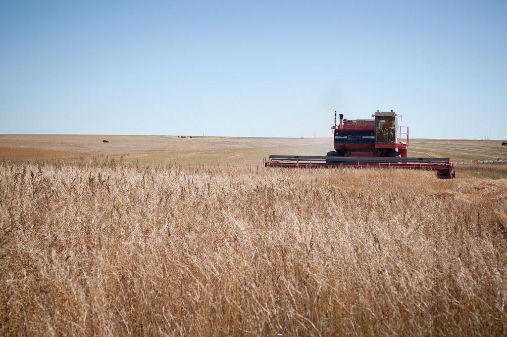 Crestview Organic Farms | Box 1506, Assiniboia, SK S0H 0B0, Canada | Phone: (306) 642-4096