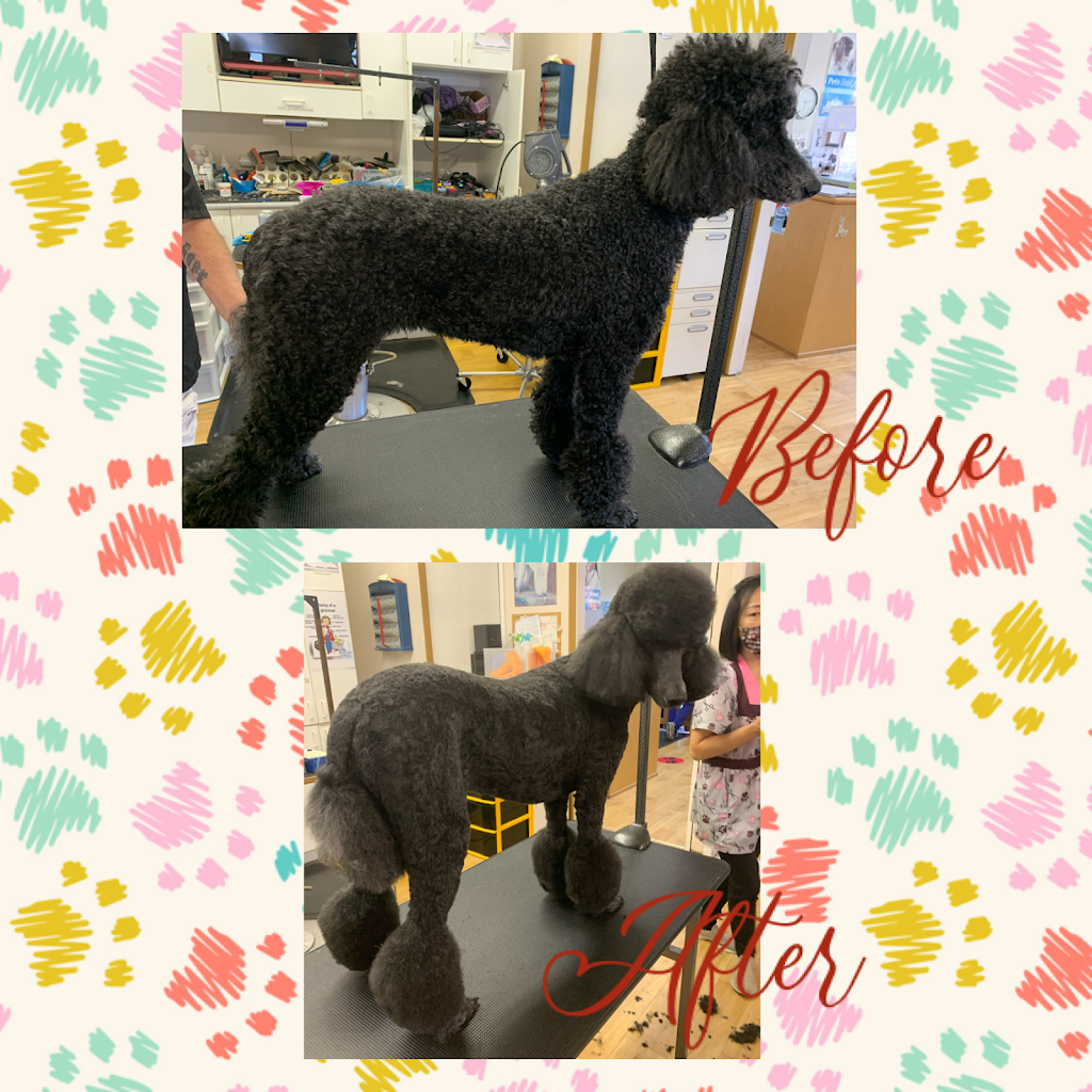 The Dogs Paw | 1423 Brunette Ave #207, Coquitlam, BC V3K 7A2, Canada | Phone: (778) 879-7694