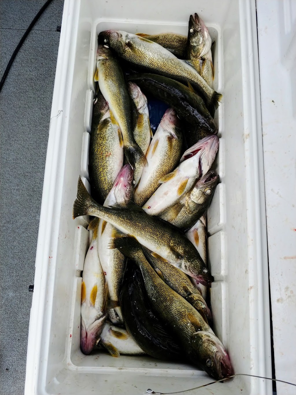 Grand Sportfishing | Rd, Dunnville, ON N1A 3B6, Canada | Phone: (289) 331-6133
