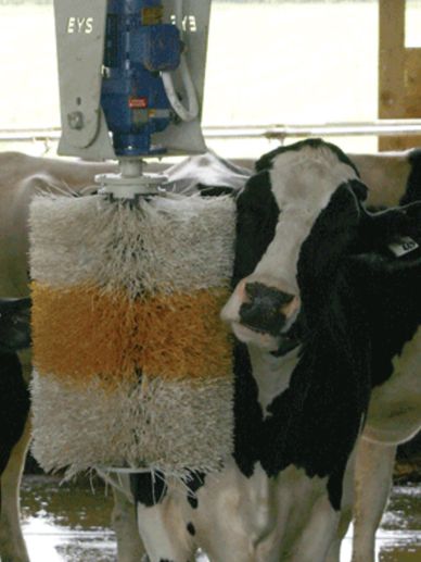 Integrated Bio Systems Inc - Animal Health Solutions | 8558 Chilliwack Mountain Rd, Chilliwack, BC V2R 3W8, Canada | Phone: (604) 852-9001