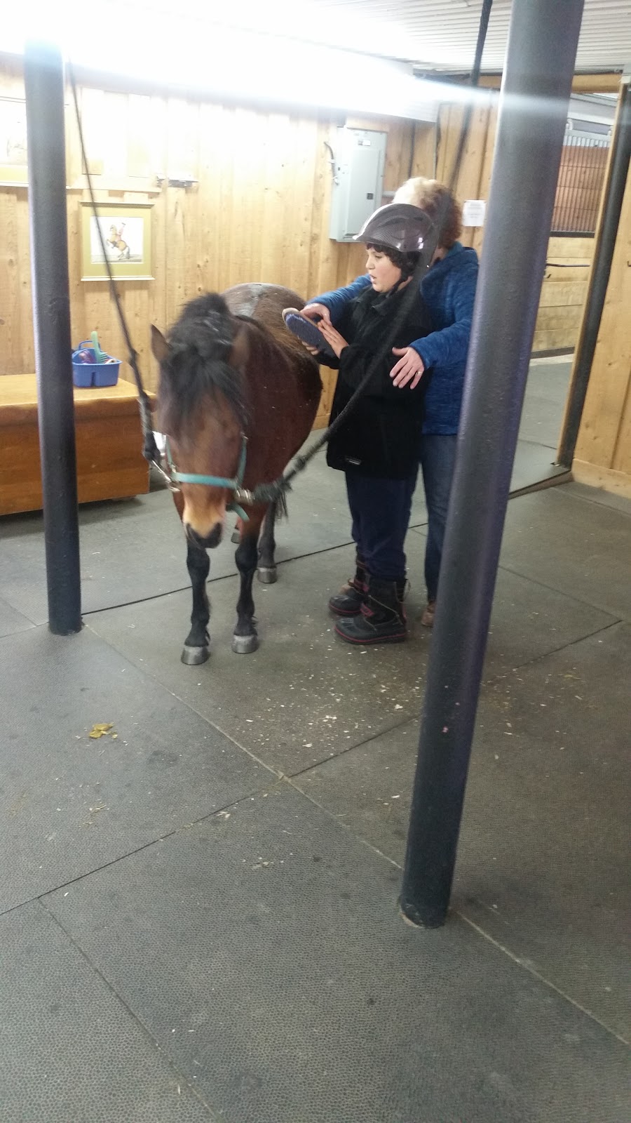 Projet Equestre Goldie | 402 Chem. de la Côte S, Blainville, QC J7E 4H5, Canada | Phone: (450) 821-8157