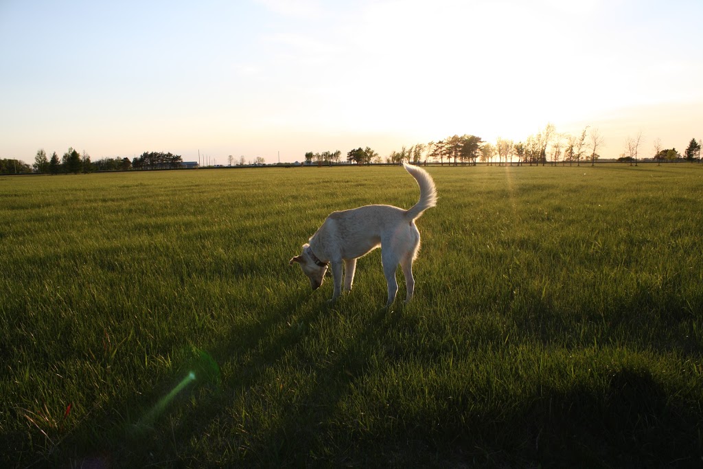 Little Mountain Park | Farmer Avenue, Stony Mountain, MB R0C 3A0, Canada