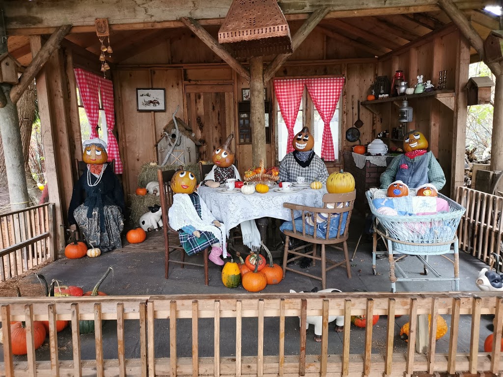 Laity Pumpkin Patch - North | 21145 128 Ave, Maple Ridge, BC V4R 2R9, Canada | Phone: (604) 467-4302
