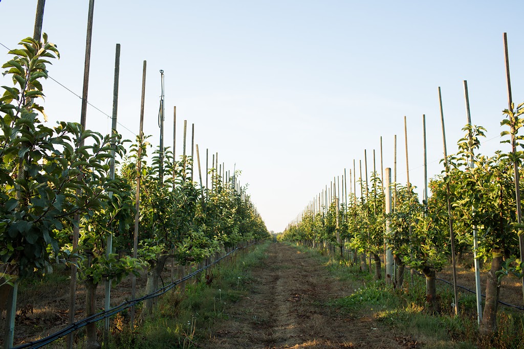 Bellewood Acres | 6140 Guide Meridian (Washington 539, Lynden, WA 98264, USA | Phone: (360) 318-7720