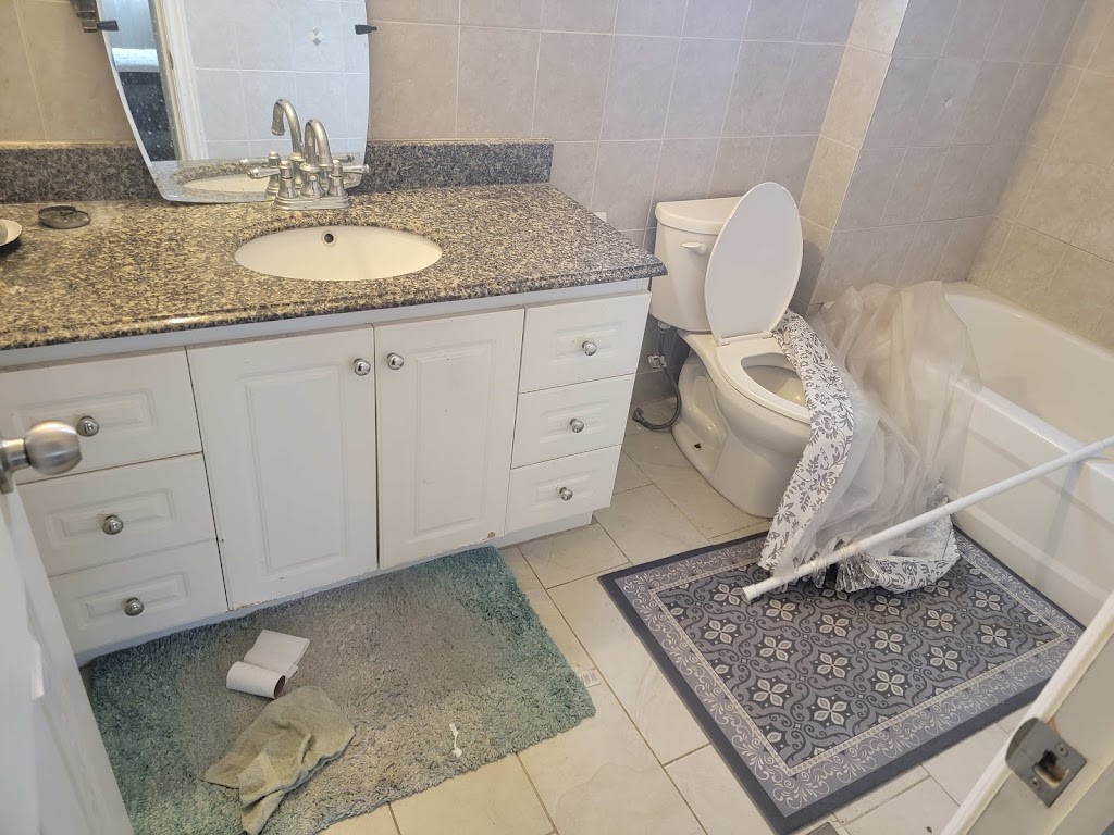 Young vibrant cleaning | 29 Arizona Dr, Brampton, ON L6Y 0K1, Canada | Phone: (343) 998-5193