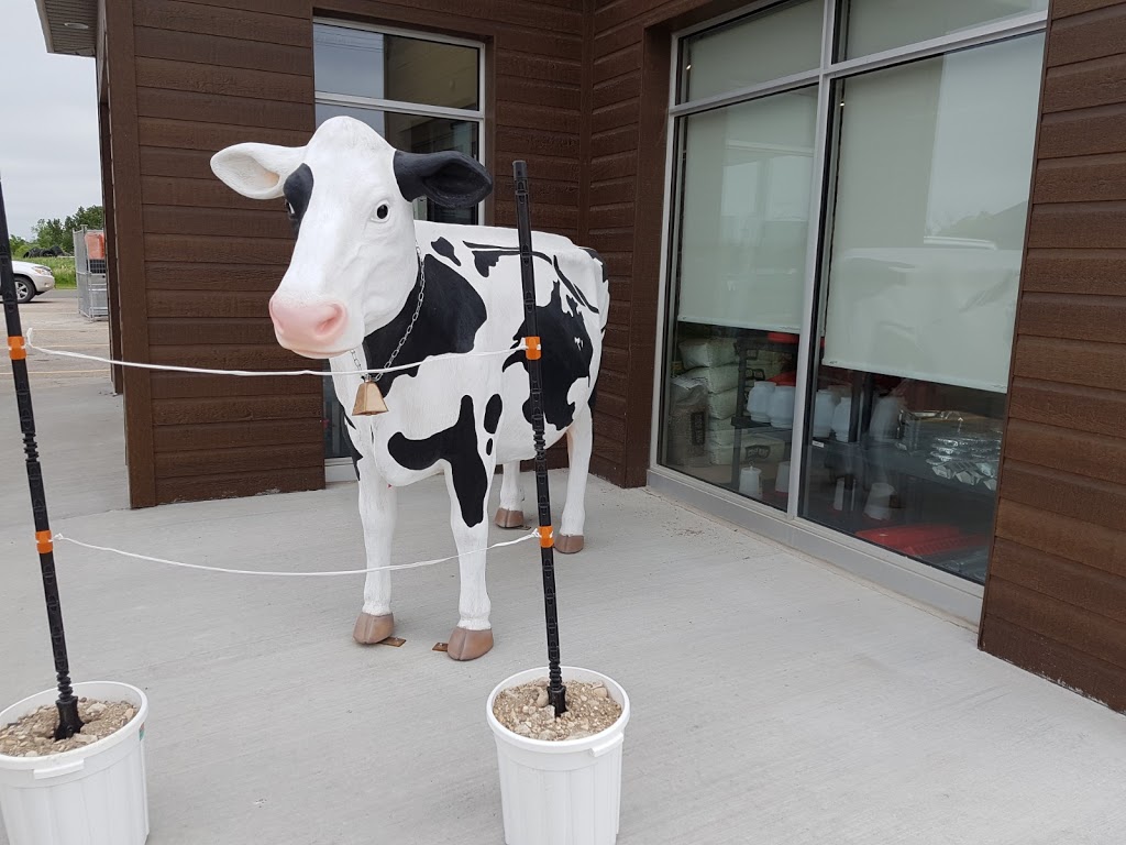 Horizon Livestock & Poultry Supply | 186 Hwy 52 West, Steinbach, MB R5G 1N5, Canada | Phone: (204) 346-5222