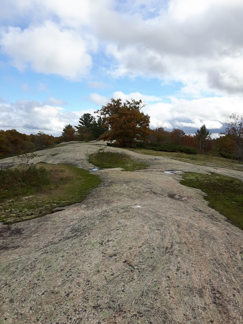 Landmark | Southwood Rd, Muskoka Lakes, ON P0C 1M0, Canada | Phone: (365) 777-4246