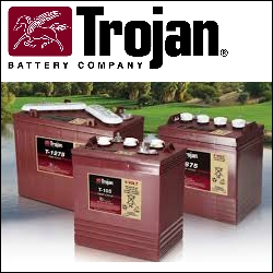 CANADIAN BATTERY STORE | 1600 Kenaston Blvd #210, Winnipeg, MB R3P 0Y4, Canada | Phone: (204) 400-8316