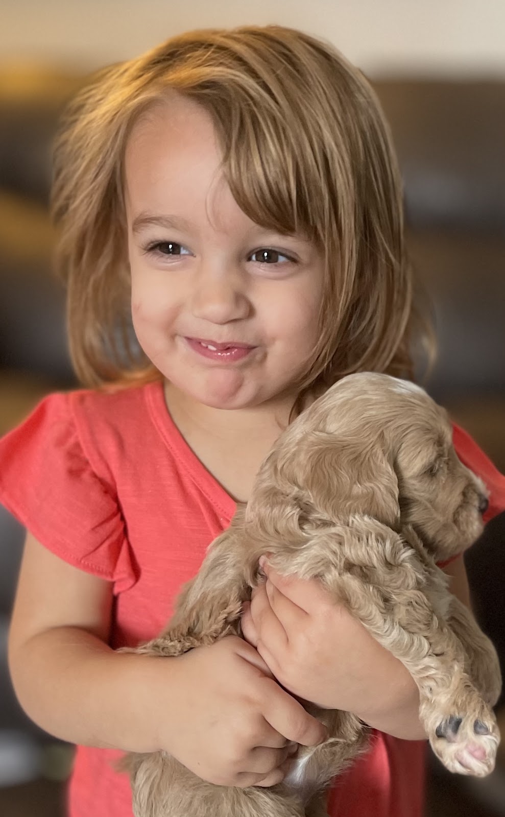 Snuggle Doodles | 1 St W RR 1, Coutts, AB T0K 0N0, Canada | Phone: (403) 448-1077