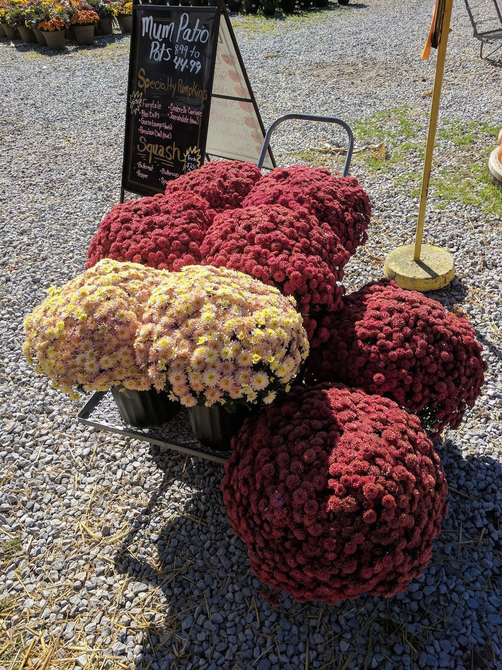 De Goey Nursery | 665 St Clair St, Chatham, ON N7L 4G8, Canada | Phone: (519) 358-1755