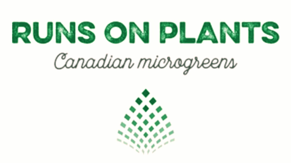 Runs On Plants | 120 Park St, Goderich, ON N7A 1K8, Canada | Phone: (519) 524-0272