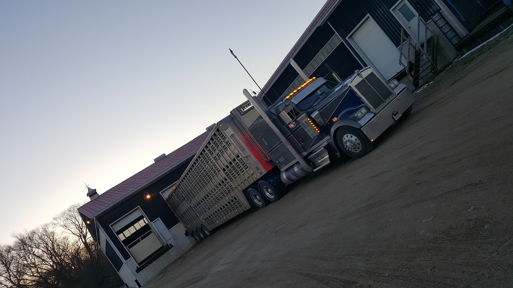 Schaus Land & Cattle Co Limited | 54 Queen St W, Elmwood, ON N0G 1S0, Canada | Phone: (519) 363-3516
