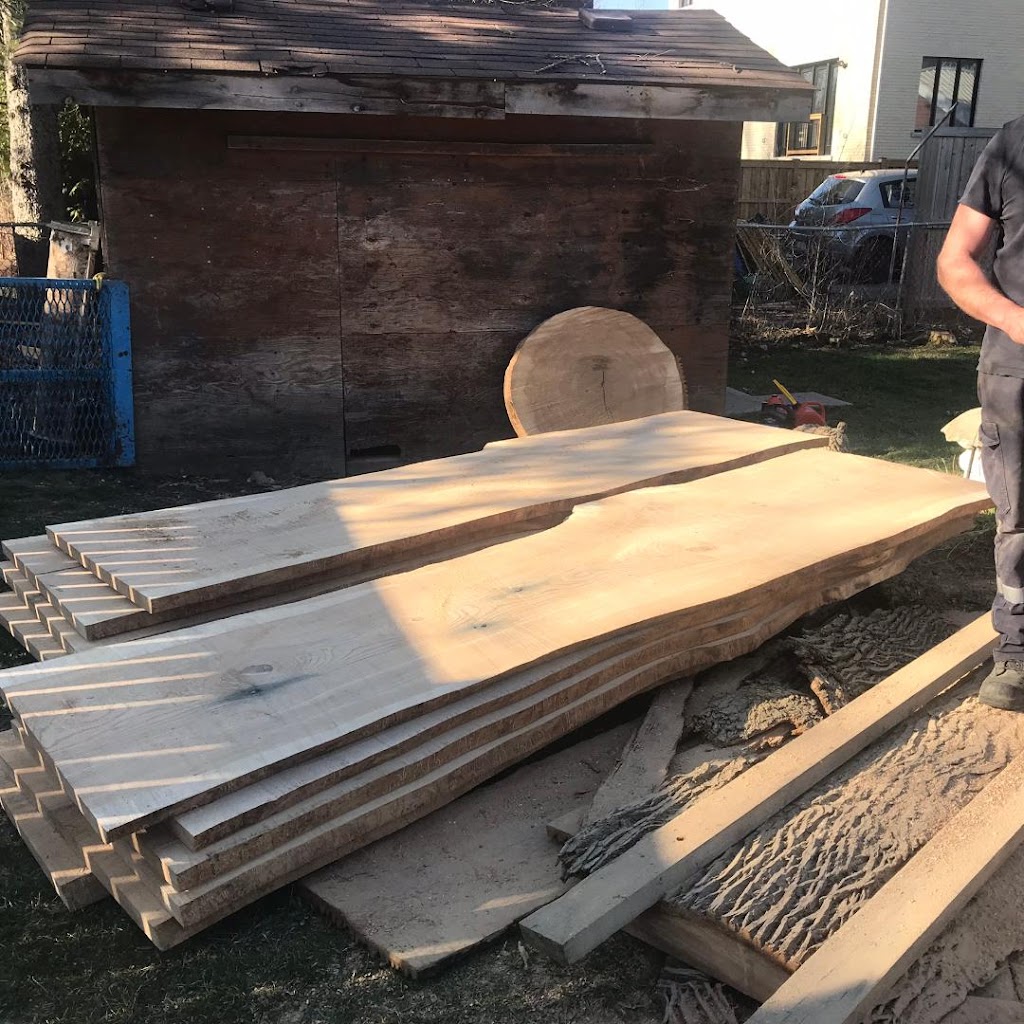 Portable Sawmill Services | 1895 Line 10, Bradford, ON L3Z 2A5, Canada | Phone: (905) 955-5661