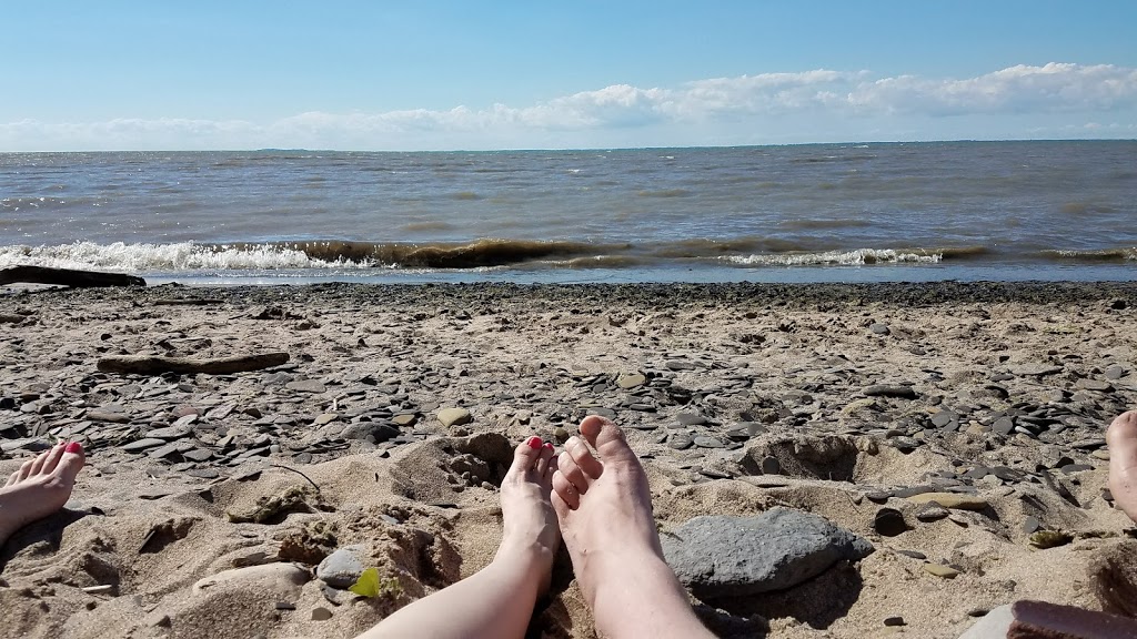 Lake Erie Seaway Trail Center | 4968 Lake Shore Rd, Hamburg, NY 14075, USA