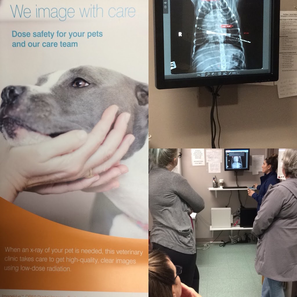 Burlington Veterinary Emergency & Referral Hospital | 775 Woodview Rd, Burlington, ON L7N 3S1, Canada | Phone: (905) 637-8111