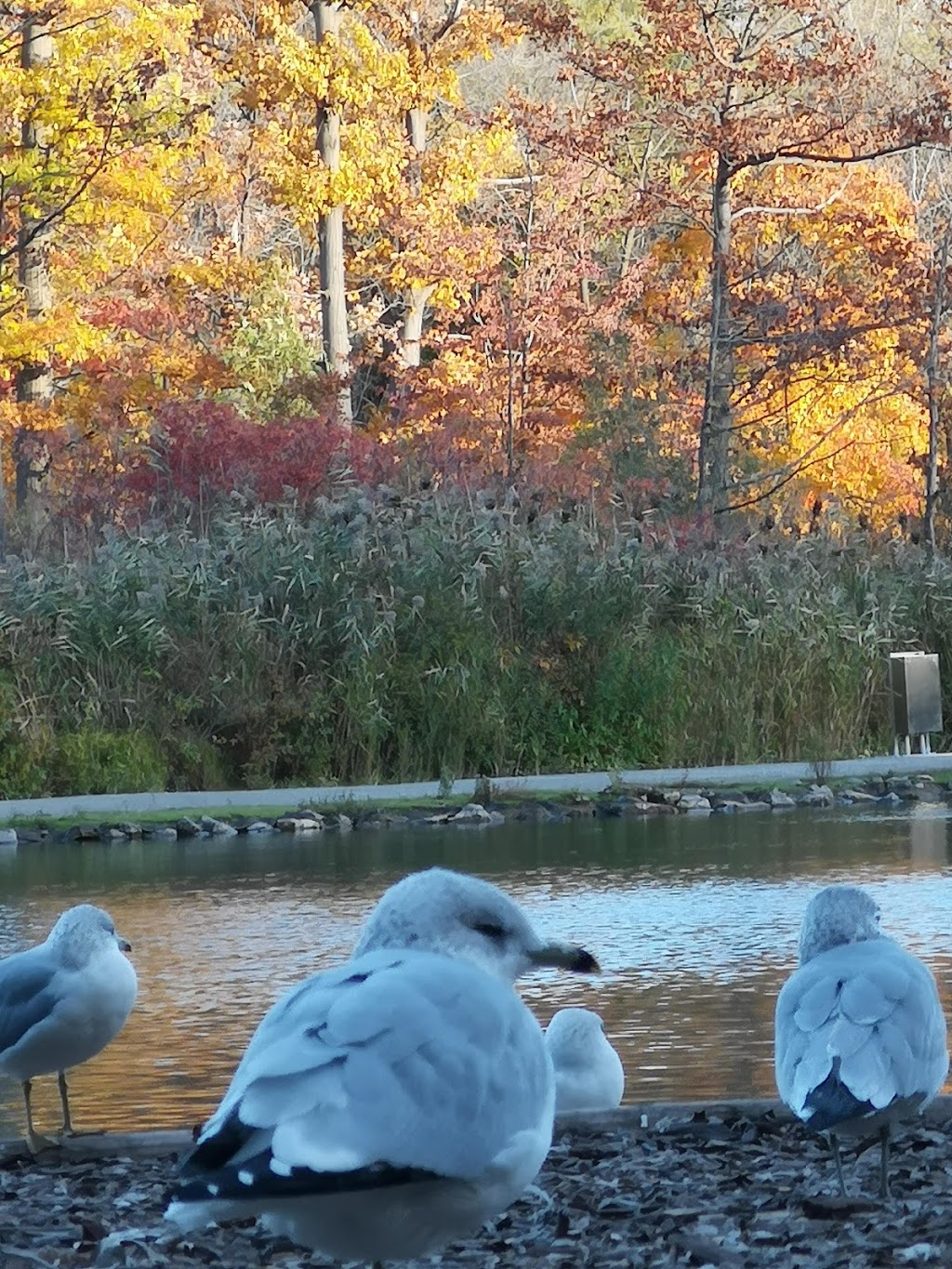 Dufferin Islands | 7230 Niagara Pkwy, Allanburg, ON L0S 1A0, Canada | Phone: (905) 354-1721