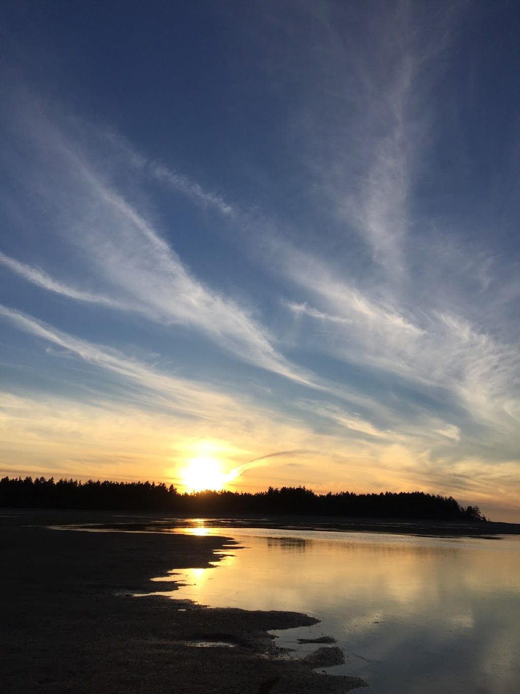 Archie Christopher Tanglewood 18 | 1065 Tanglewood Pl Unit 18, Parksville, BC V9P 2N7, Canada | Phone: (403) 620-1594