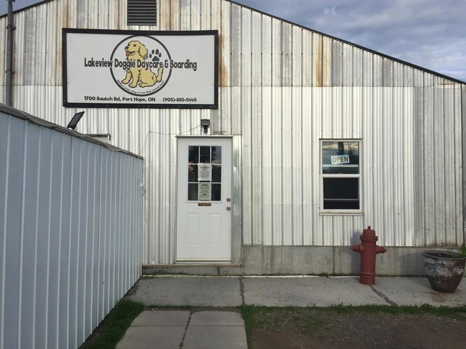 Lakeview Doggie Daycare | 1700 Baulch Rd, Port Hope, ON L1A 3V7, Canada | Phone: (905) 885-5445