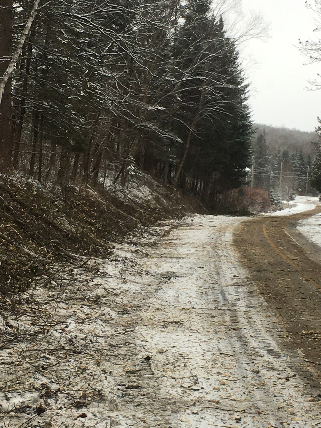 Débroussaillage - Transport Gilles Nault | 684 Route 105, Bois-Franc, QC J9E 3A9, Canada | Phone: (819) 660-1588