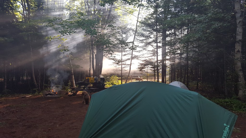 Outside Expeditions | Brudenell River Provincial Park, Brudenell, PE C0A 1X0, Canada | Phone: (902) 652-2434