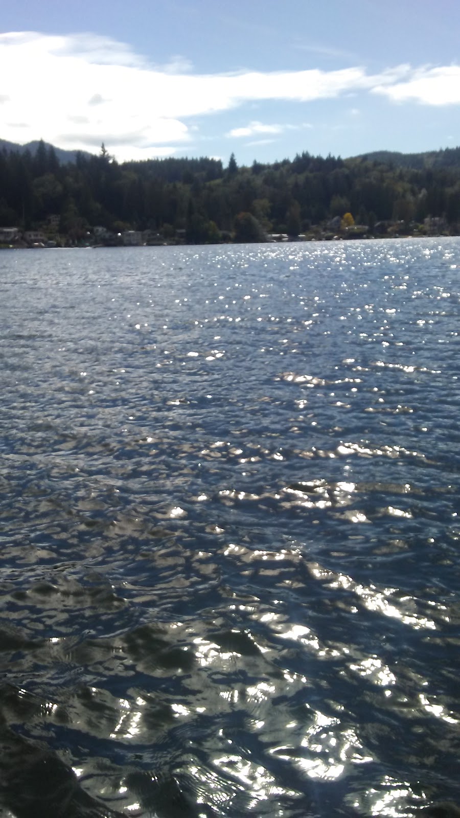 Nala Island | Axelson Rd, Bellingham, WA 98229, USA