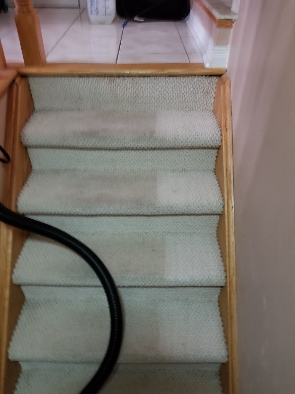 Magic Carpet Cleaning | 12 Gaudi Rd, Scarborough, ON M1B 0B4, Canada | Phone: (437) 999-3842