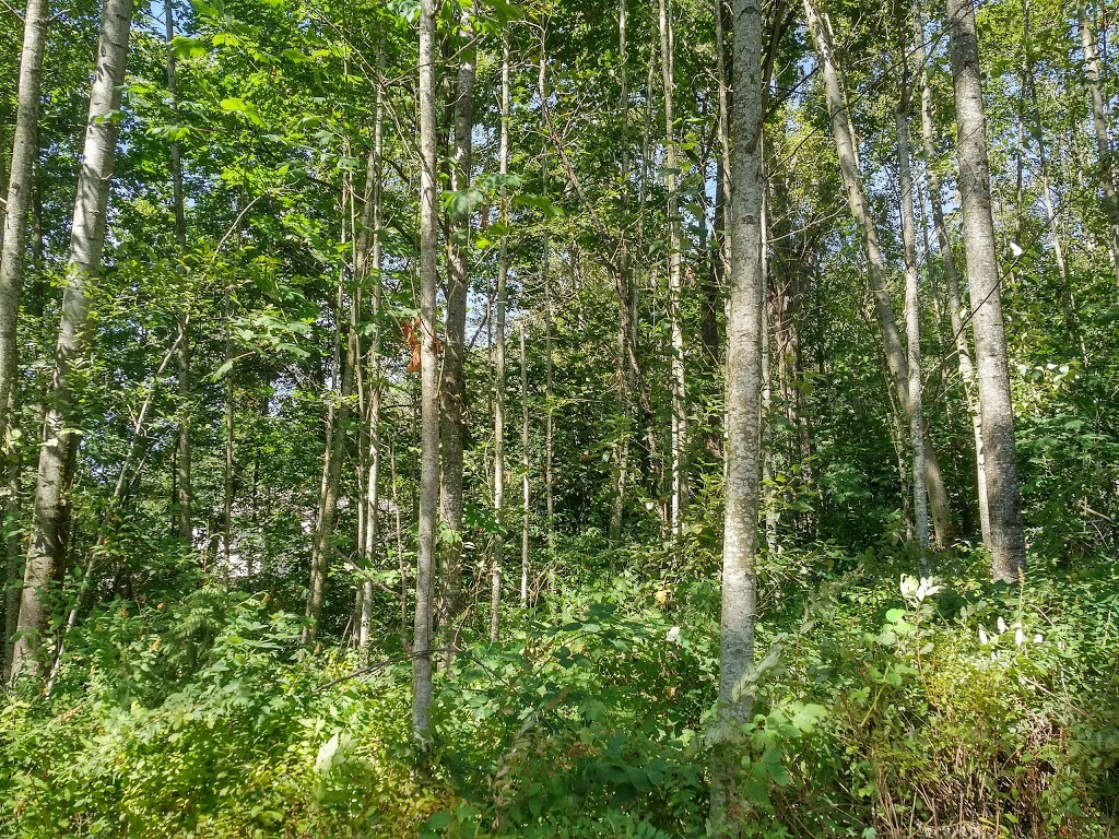 Sequoia Ridge Park | 15220 80 Ave, Surrey, BC V3S 8N4, Canada