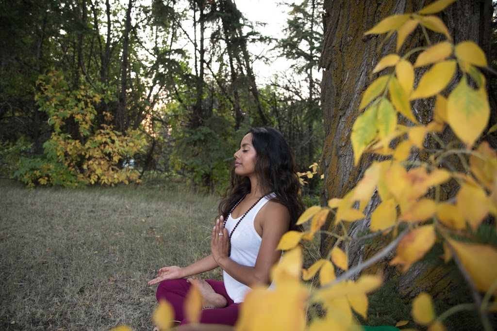 Shaktiflow Studios | 3519 Weidle Way SW, Edmonton, AB T6X 1Z4, Canada | Phone: (780) 953-1428