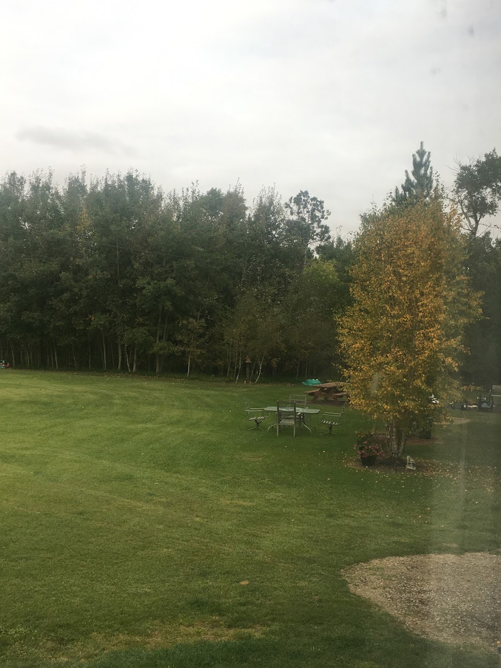 Redrock farm Mundare AB Canada | 524054, Range Rd 162, Mundare, AB T0B 3H0, Canada | Phone: (780) 906-3303