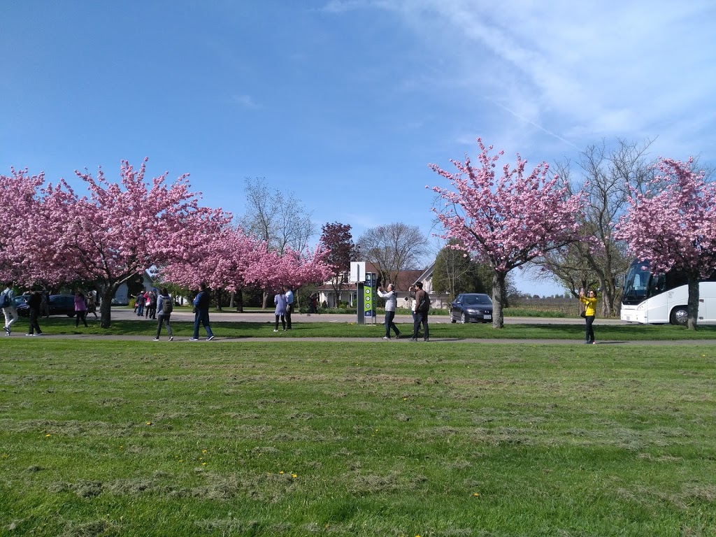 McFarland Park Picnic Pavilion | 15927 Niagara Pkwy, Niagara-on-the-Lake, ON L2E 6T2, Canada | Phone: (905) 468-3322