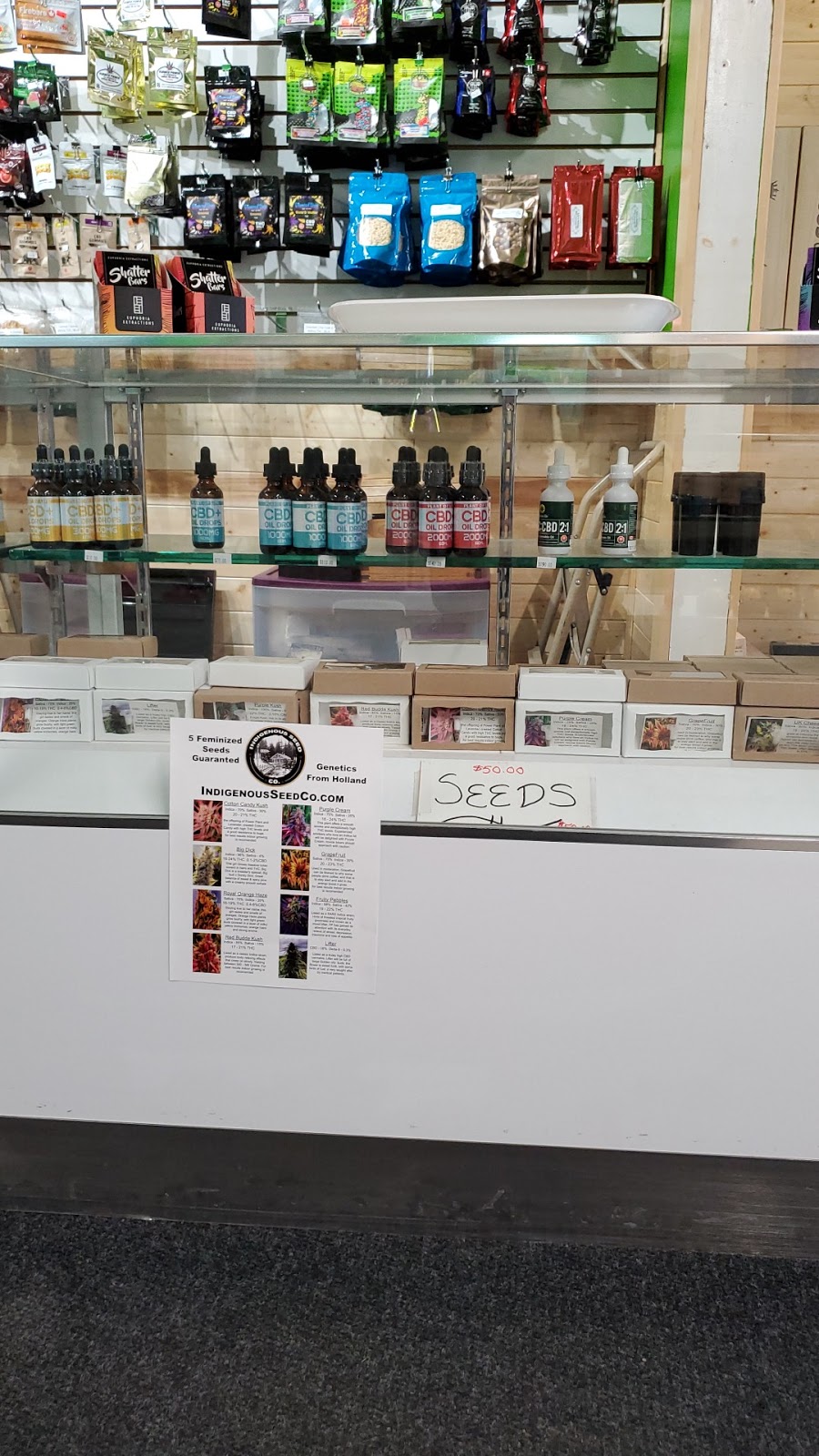 Forever Green | 266 York Rd, Shannonville, ON K0K 3A0, Canada | Phone: (613) 707-1870