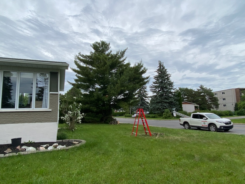 Émondage Red Ladder Tree Services Inc. | 2525 Pl. du Louvet, Saint-Lazare, QC J7T 3L7, Canada | Phone: (514) 696-5205