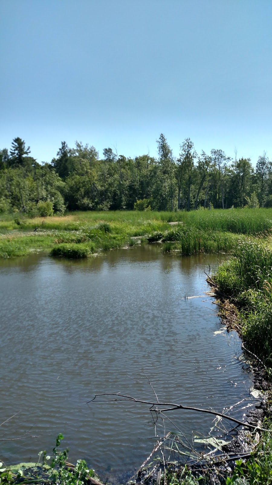 Jack Layton Park | 400 Rue Halcro, Hudson, QC J0P 1H0, Canada