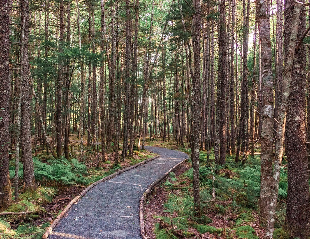 Lock 6 Park | 76-74 Cochrane St, Enfield, NS B2T 1G9, Canada | Phone: (902) 462-1826