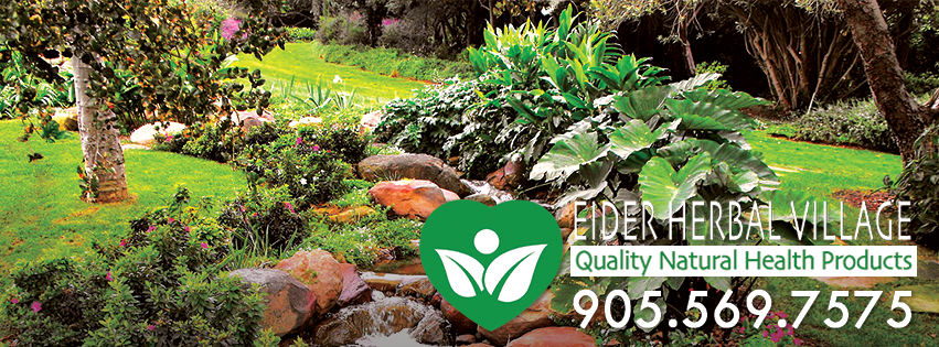 Eider Herbal Village | health | 3115 Dundas St W, Mississauga, ON L5L 3R8, Canada | 9055697575 OR +1 905-569-7575